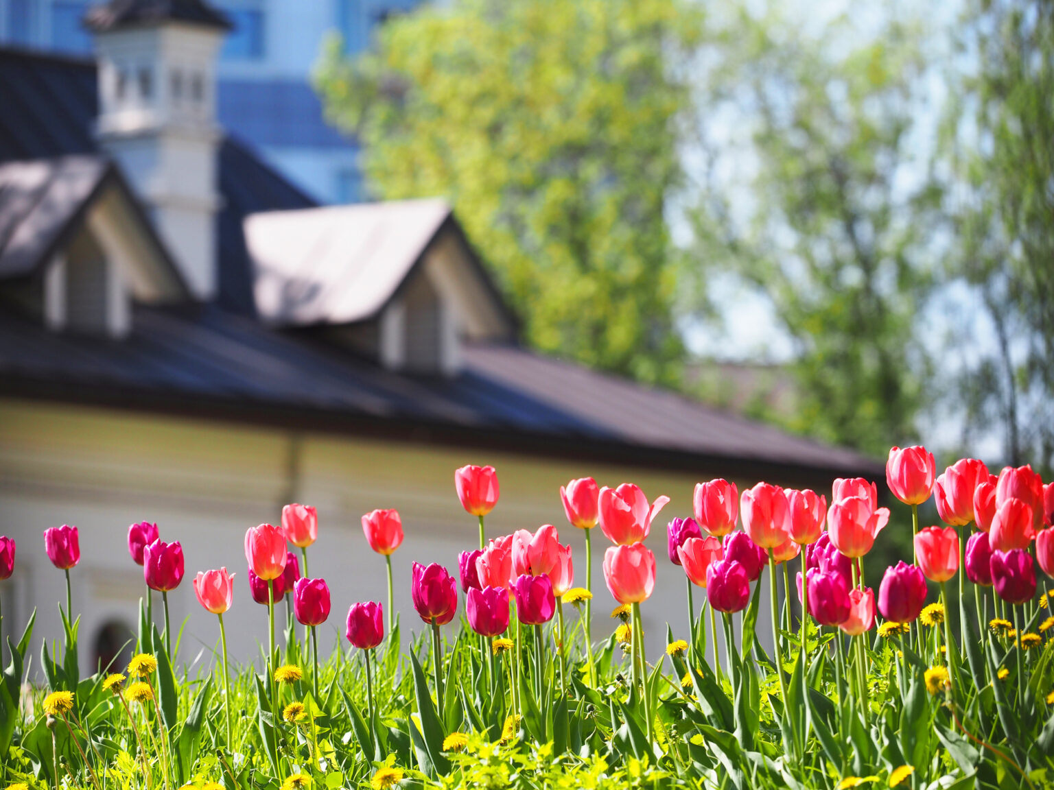 Pril Spring Spring Selling Takes Off | Hotspotting - Property Market Insights ...