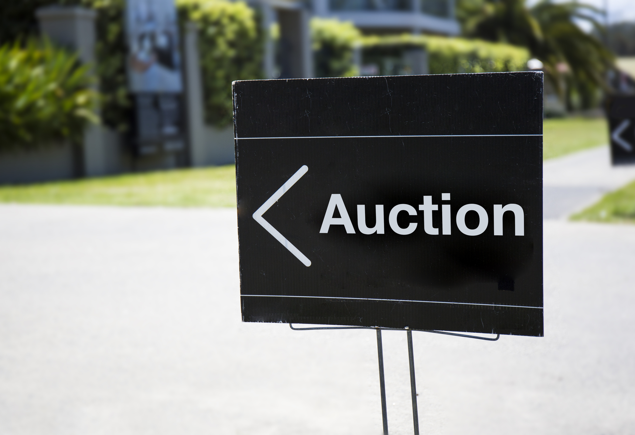 Massive Auction Surge